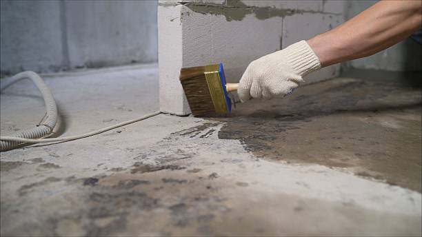 SJ Waterproofing Pros Sump Pump Installation coverage map for Idlewild, MI and surrounding area
